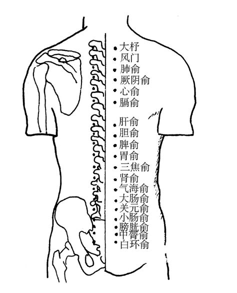 背穴|背俞的准确位置图片及作用